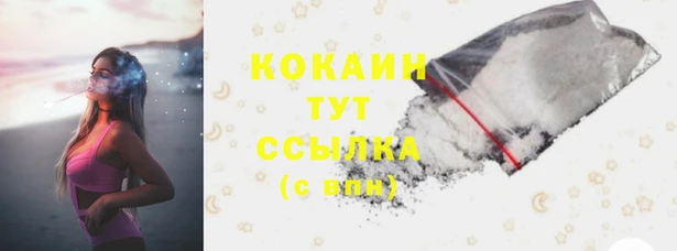 спиды Касимов